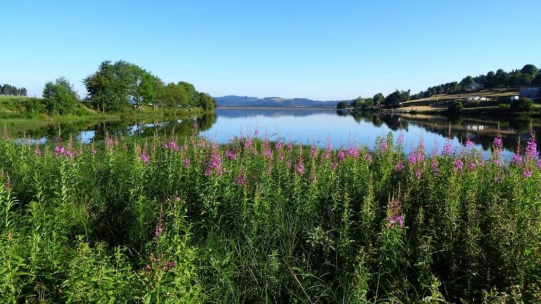 Saint-Alban-sur-LimagnoleLozere Aubrac Margeride Promoアパートメント エクステリア 写真