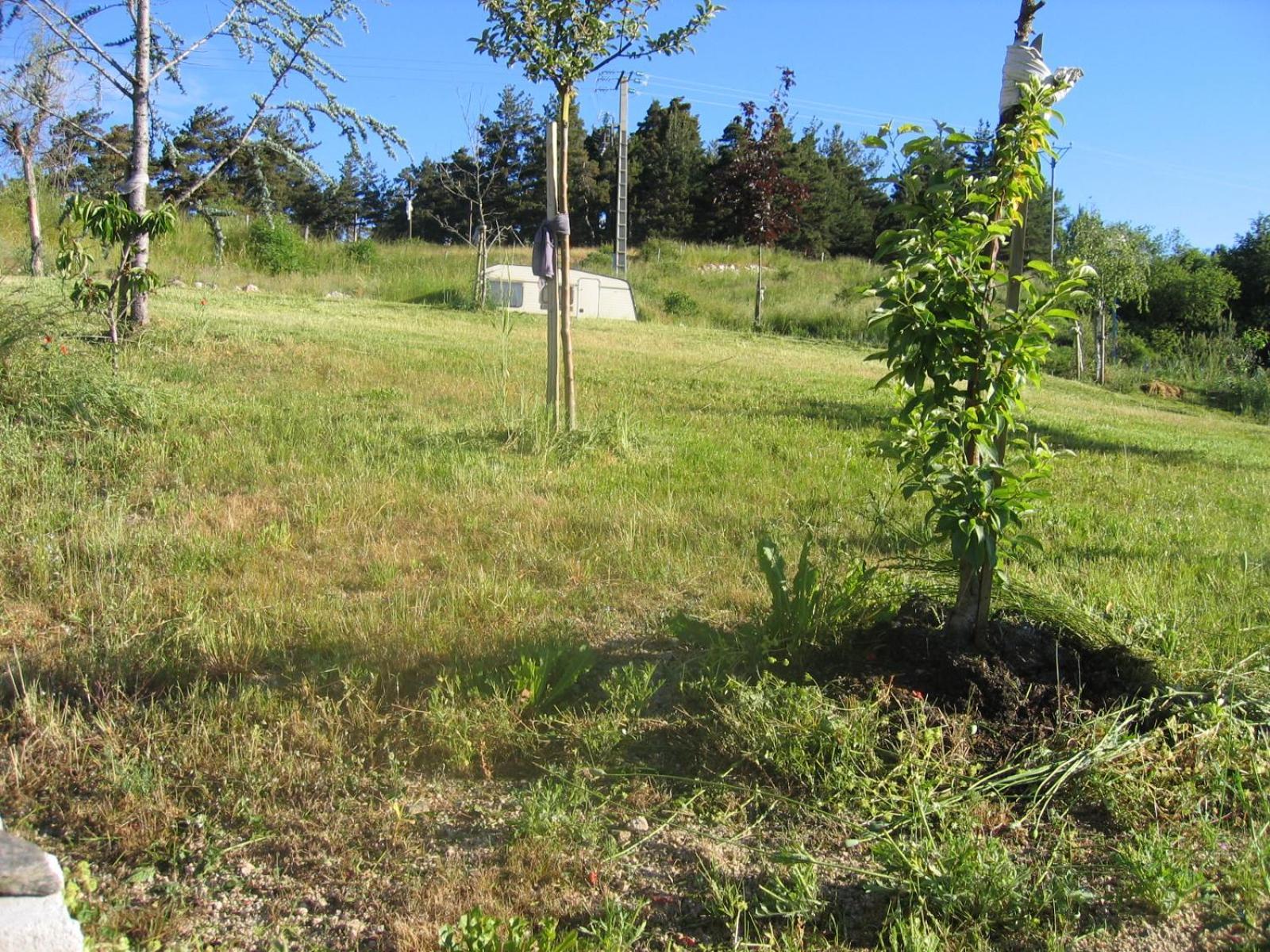 Saint-Alban-sur-LimagnoleLozere Aubrac Margeride Promoアパートメント エクステリア 写真